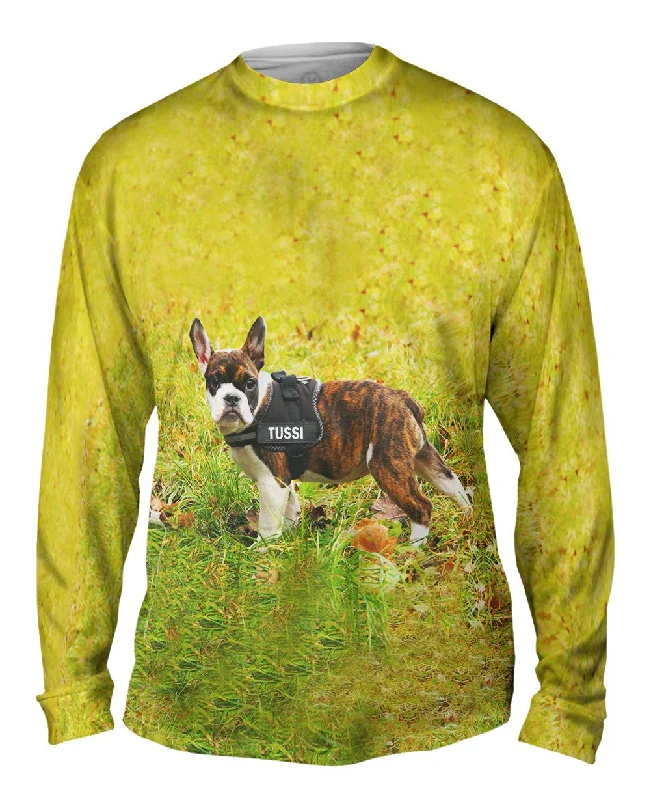 Casual Long Sleeve Shirt-Tussi French Bulldog