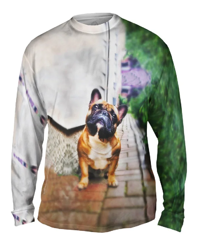 Solid Long Sleeve-Whats That French Bulldog