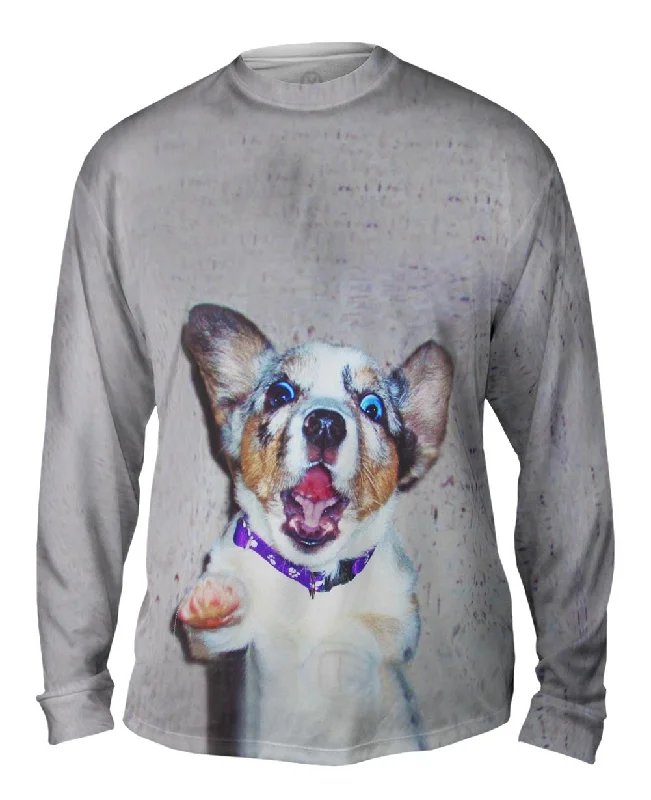 Full Sleeve T-shirt-Wacky Dog