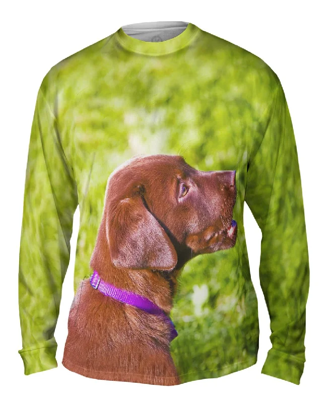 Long Sleeve Tunic-Young Chocolate Lab