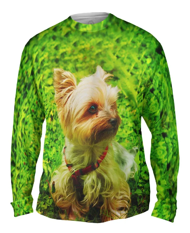 Long Sleeve Henley-Yorkshire Terrier Moss