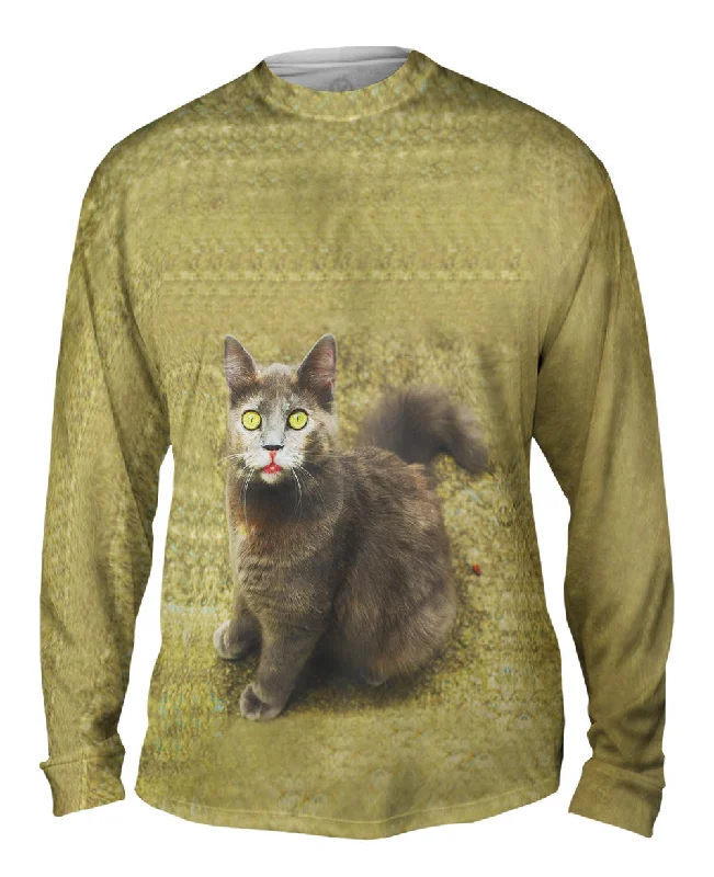 Vintage Long Sleeve-Wow Brown Cat